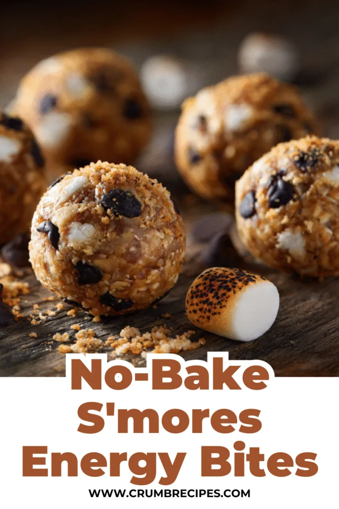 S'mores Energy Bites: Your New Go-To Snack for Instant Gratification S'mores Energy Bites S'mores Energy Bites served in a bowl on a picnic blanket