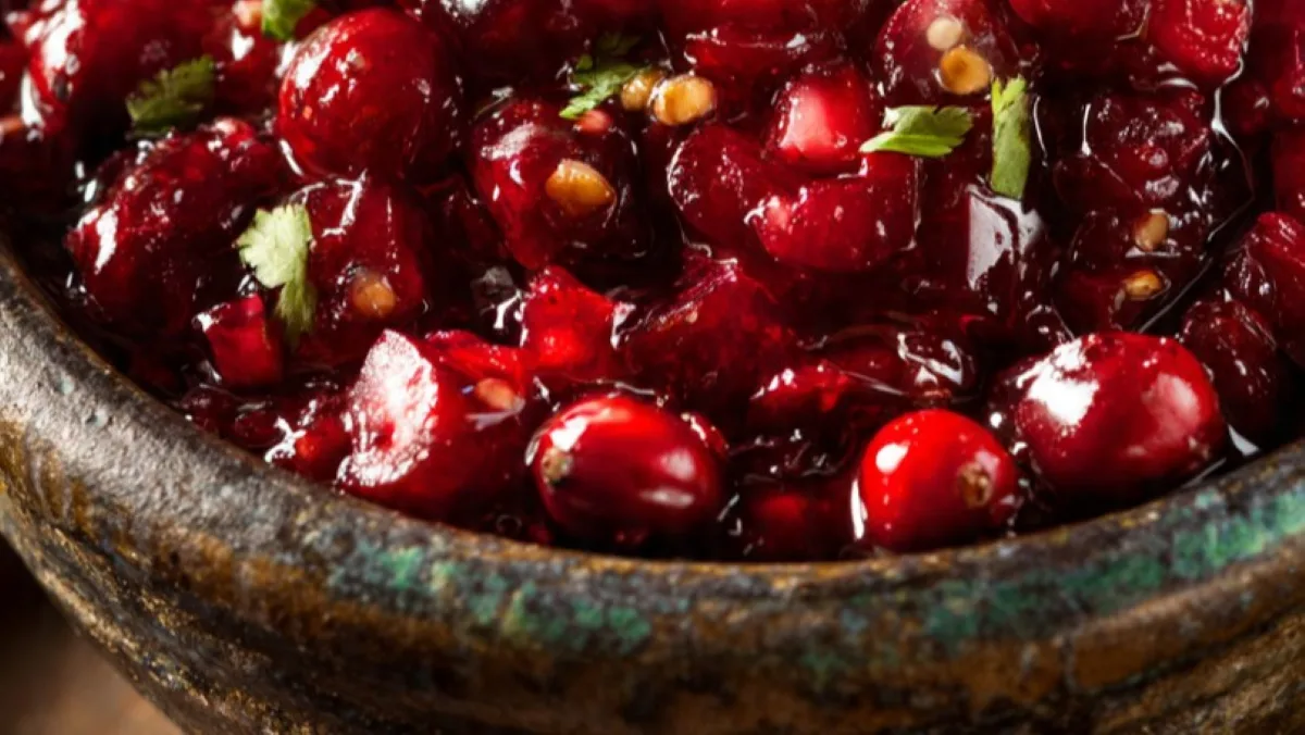 Vibrant Cranberry Salsa in a festive bowl, perfect for holiday appetizers, garnished with fresh cilantro and lime.