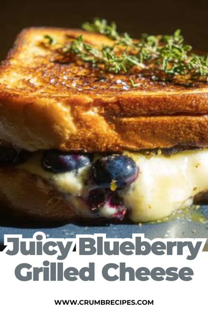 Juicy Blueberry Grilled Cheese