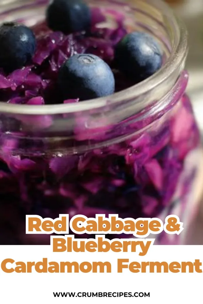 Red Cabbage & Blueberry with Cardamom Ferment