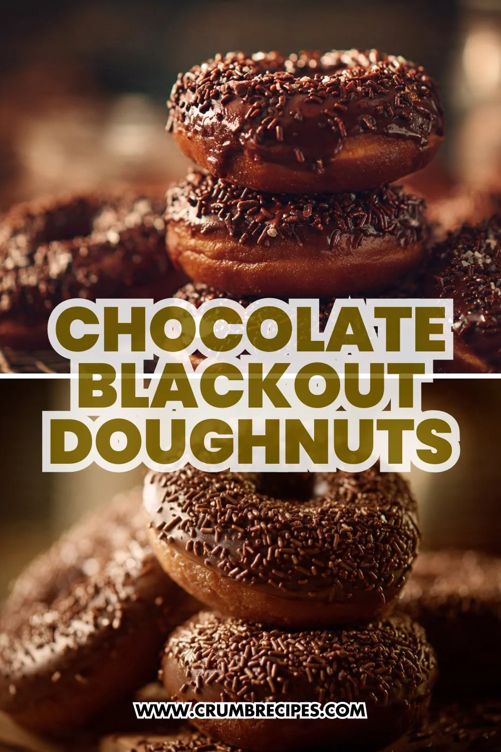 Ultimate Chocolate Blackout Doughnuts : A Decadent, Pint-Sized Indulgence Chocolate Blackout Doughnuts Chocolate Blackout Doughnuts