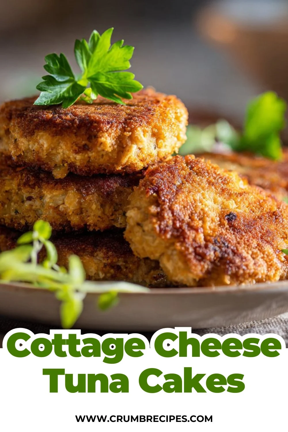 Cottage Cheese Tuna Cakes