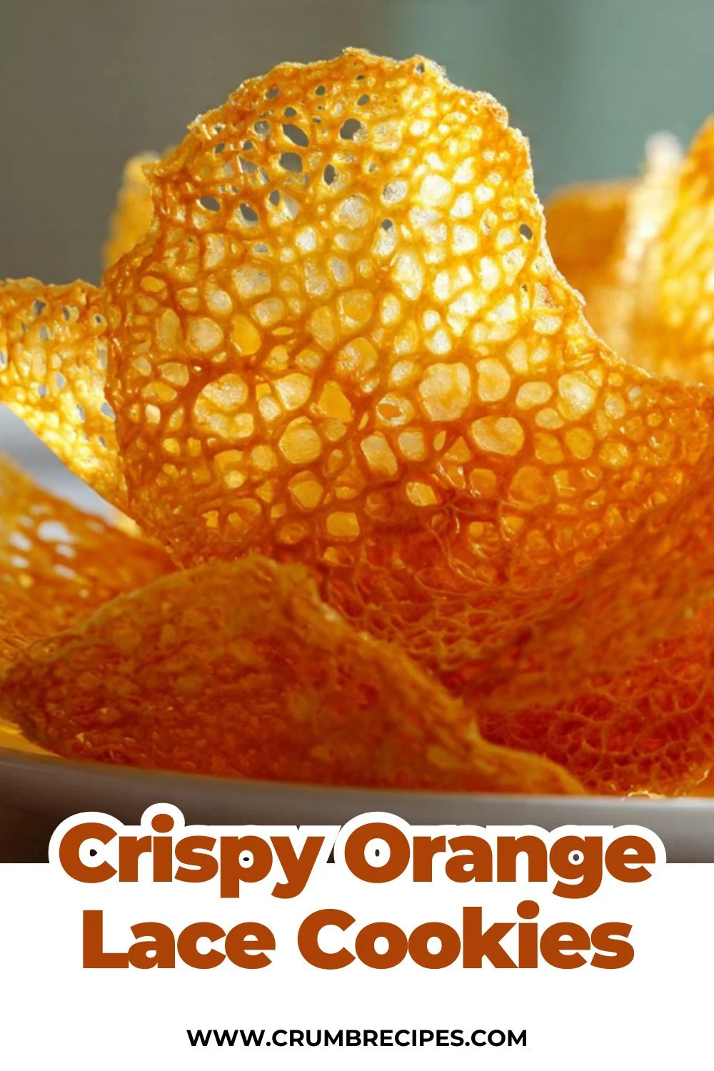Crispy Orange Lace Cookies: A Delightful Refreshing Treat
