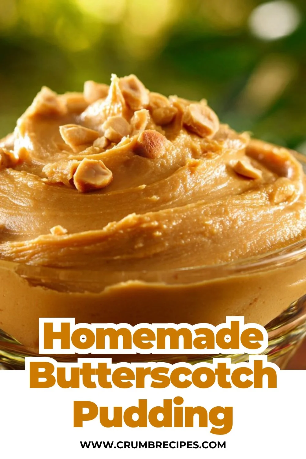 Homemade Butterscotch Pudding