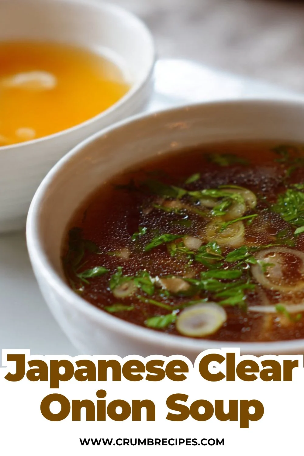 Japanese Clear Onion Soup Recipe