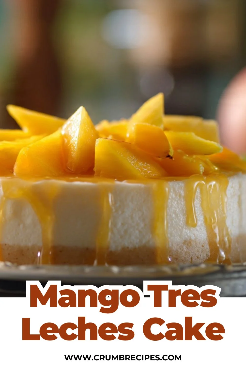 Mango Tres Leches Cake