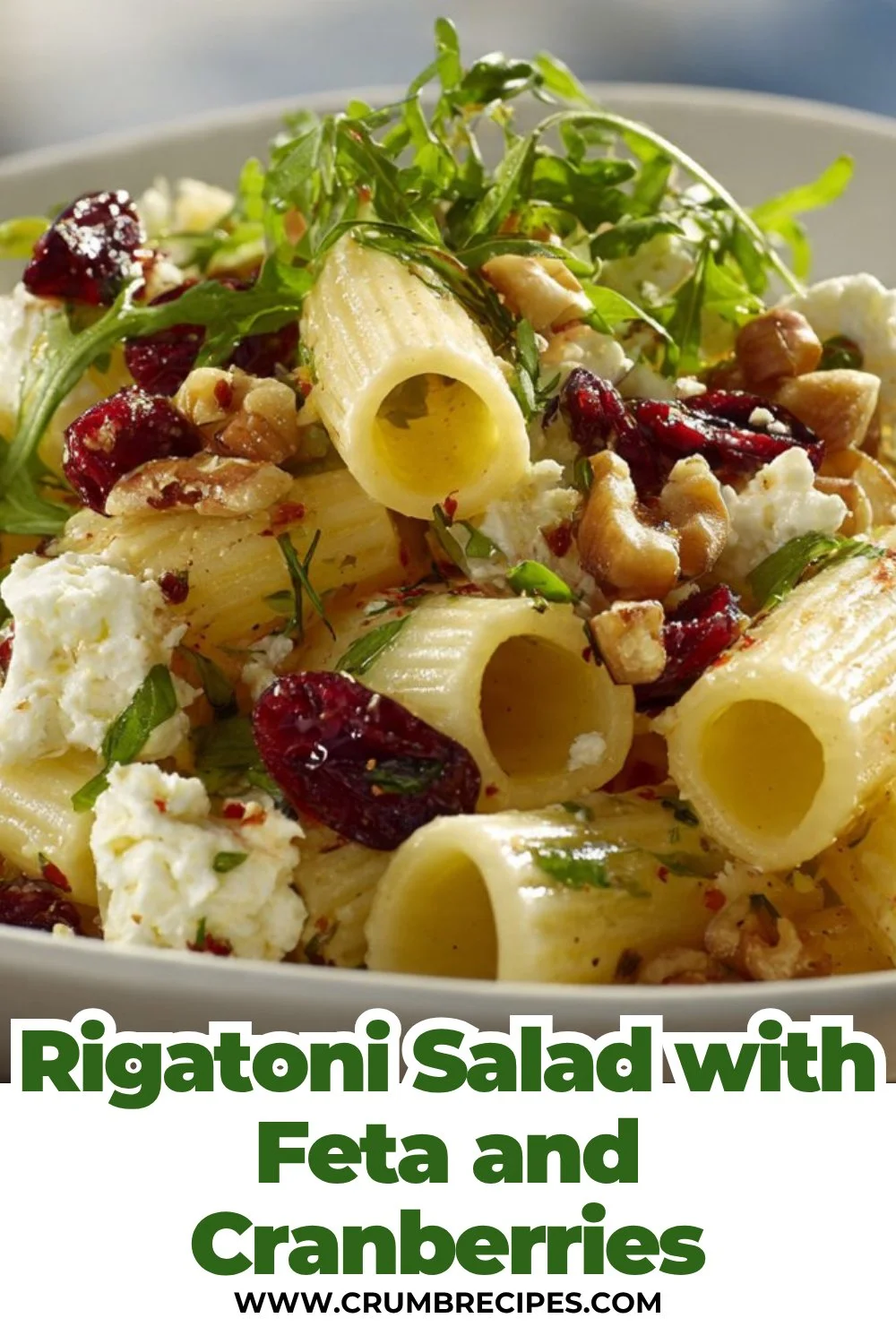 Bright Rigatoni Salad with Feta & Cranberries - Easy Lemon Vinaigrette Rigatoni Salad Rigatoni Salad with Feta and Cranberries