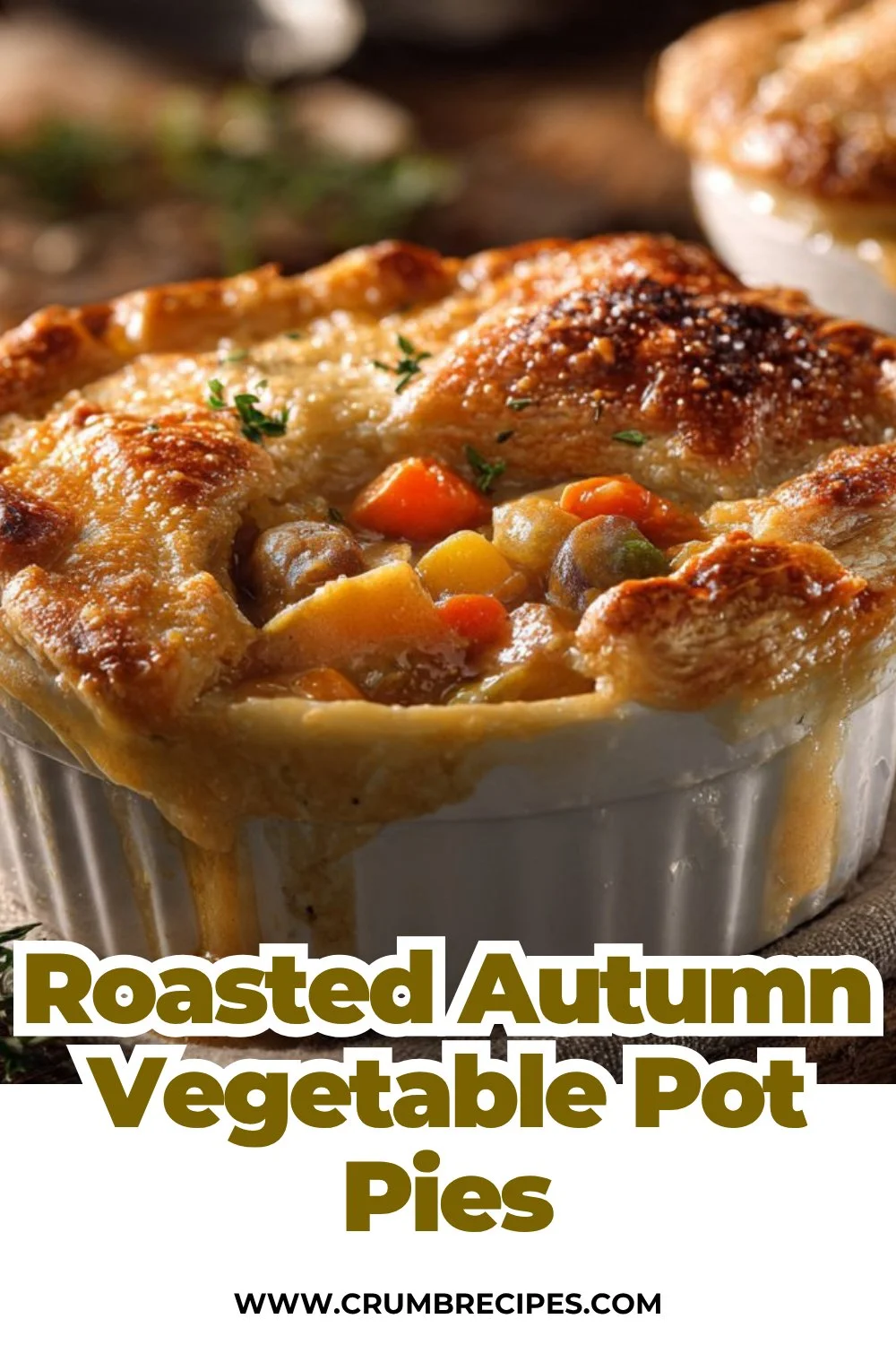 Roasted Autumn Vegetable Pot Pies