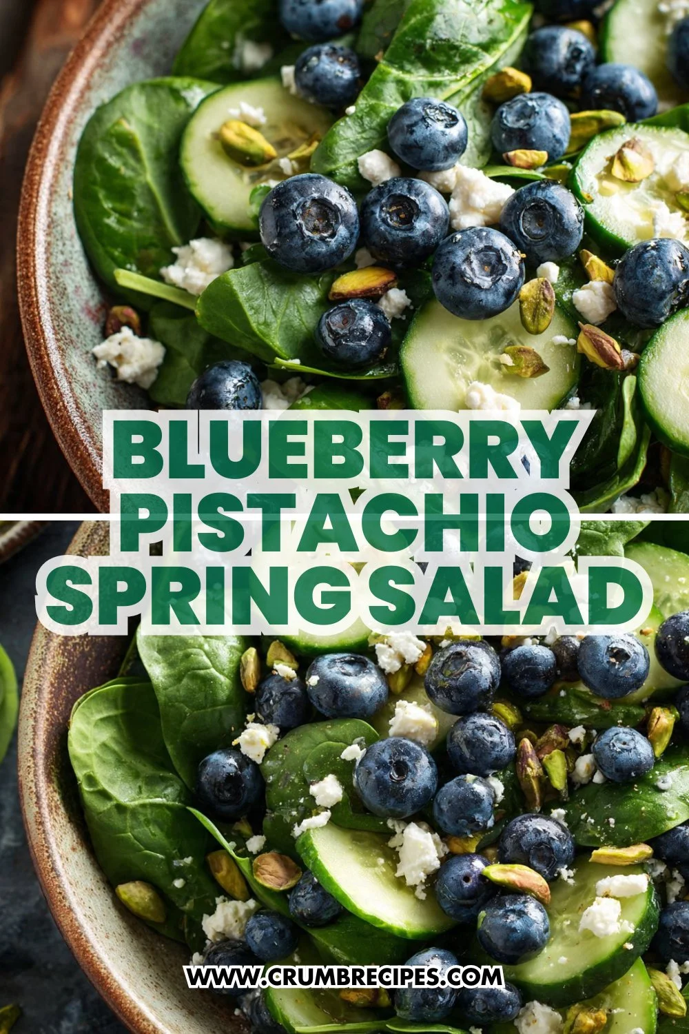 Blueberry Pistachio Spring Salad: Bright