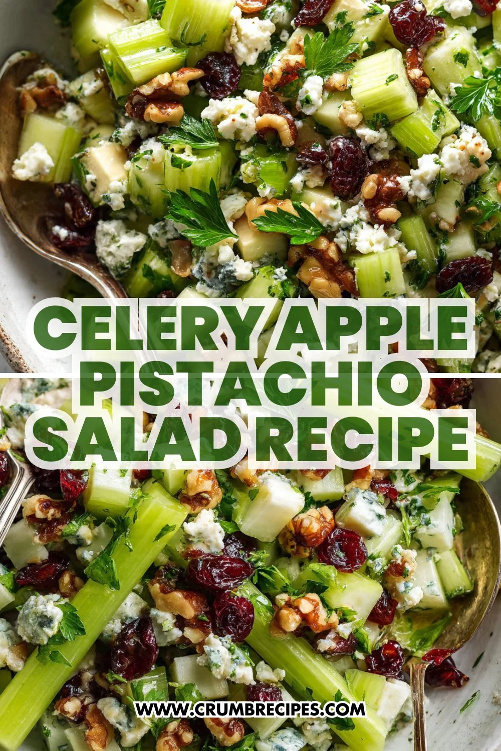 Celery Apple Pistachio Salad Recipe
