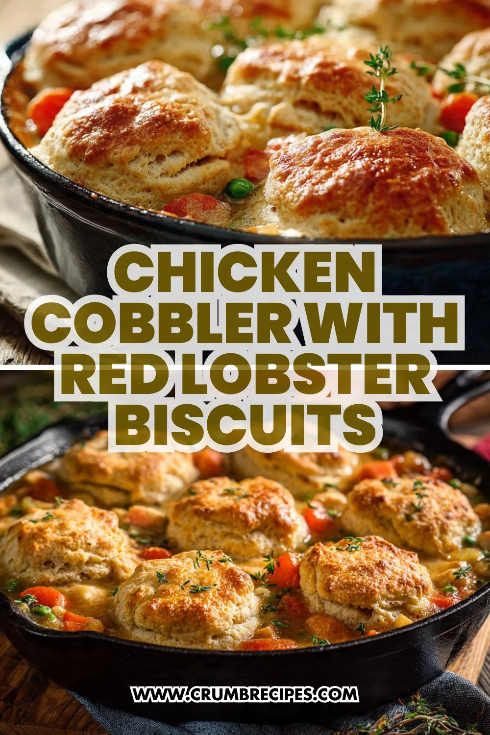 Chicken Cobbler with Red Lobster Biscuits : Easy Cozy Dinner Chicken Cobbler Chicken Cobbler with Red Lobster Biscuits