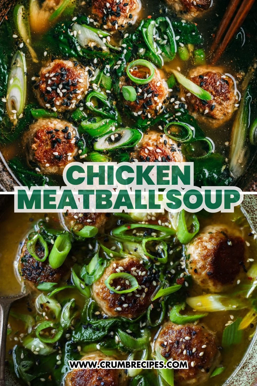 Chicken Meatball Soup
