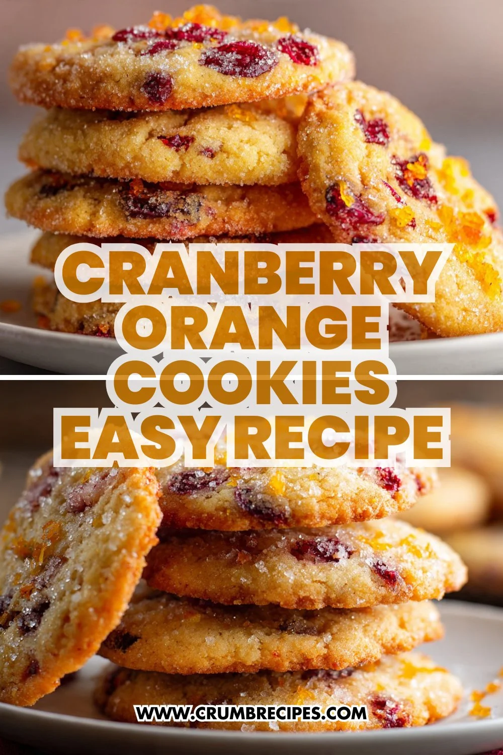 Cranberry Orange Cookies Easy Recipe