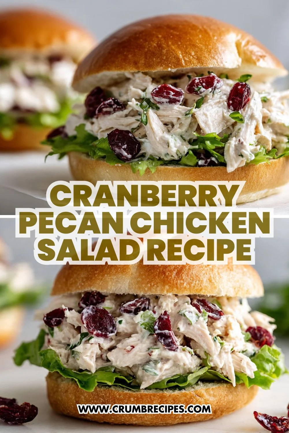 Cranberry Pecan Chicken Salad Recipe