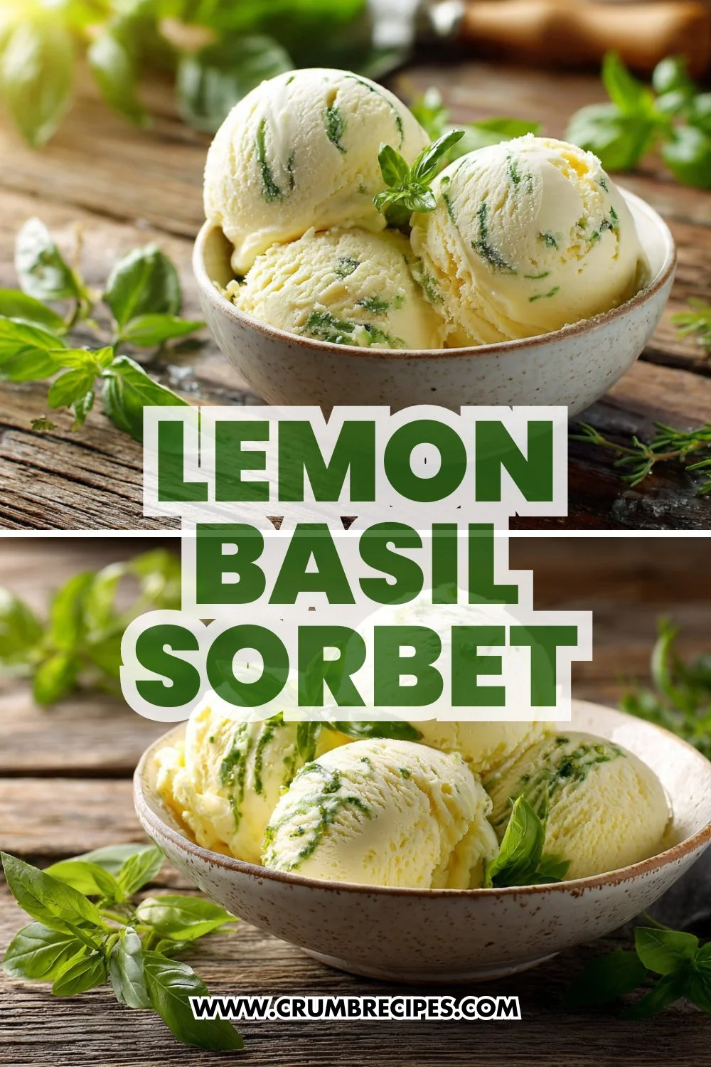 Lemon Basil Sorbet
