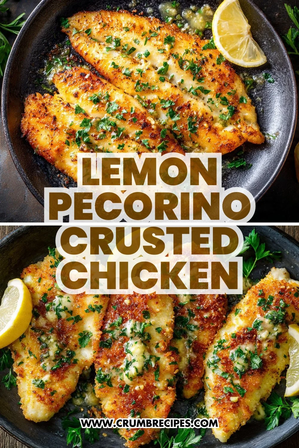 Lemon Pecorino Crusted Chicken