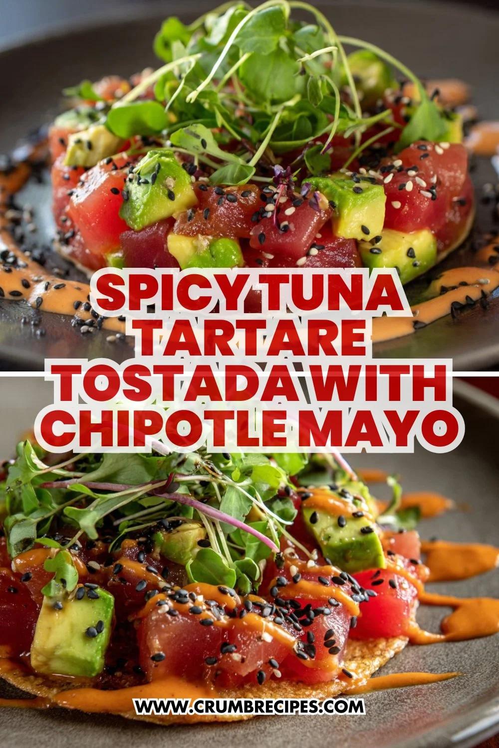 Spicy Tuna Tartare Tostada with Chipotle Mayo