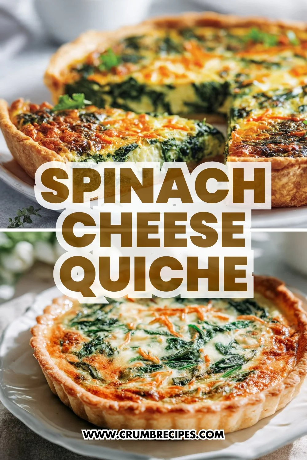 Easy Spinach Cheese Quiche : Cheesy Brunch Pie You'll Make Again Spinach Cheese Quiche Spinach Cheese Quiche