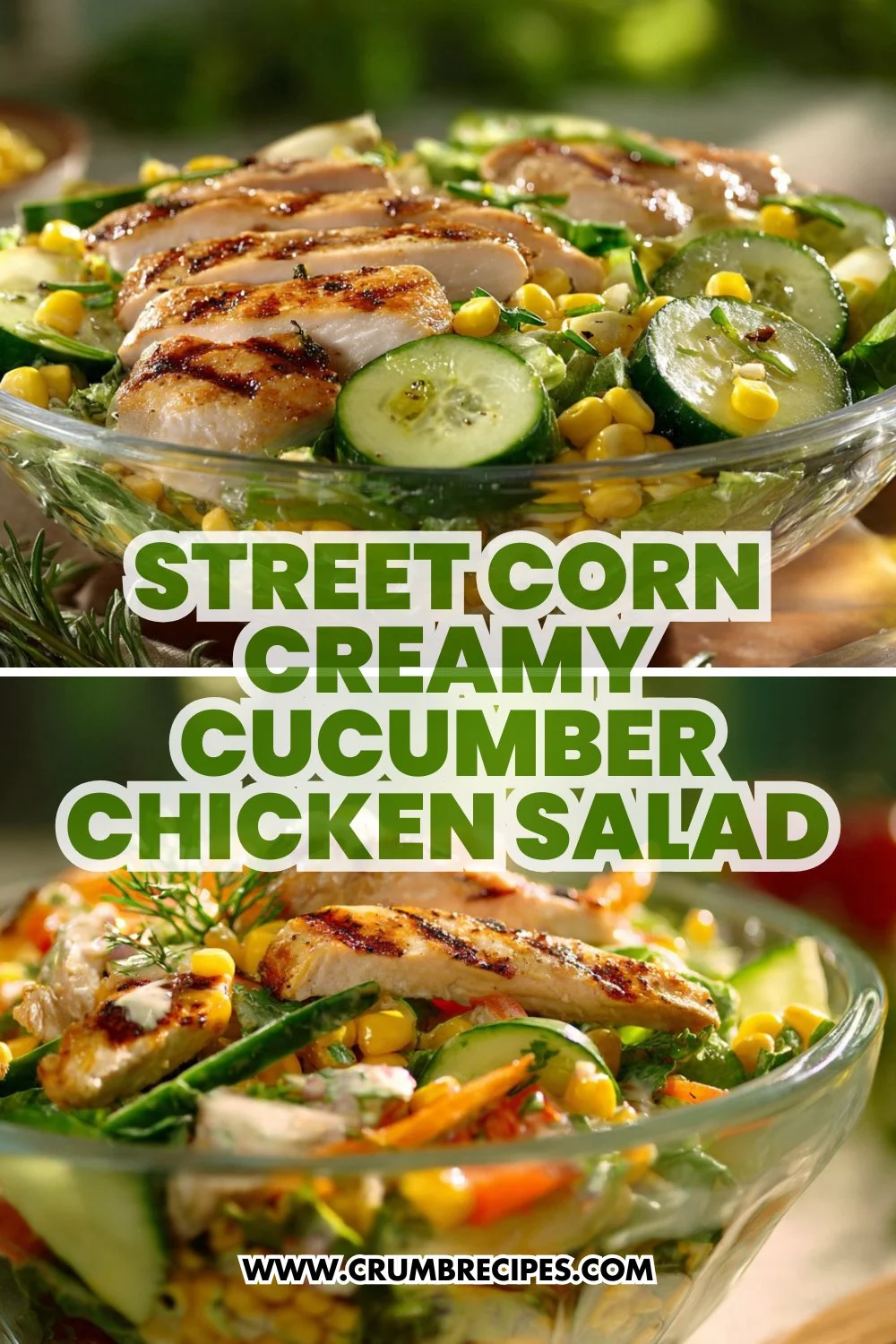 Street Corn Creamy Cucumber Chicken Salad