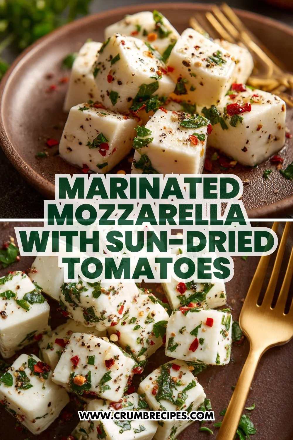 Zesty Marinated Mozzarella with Sun-Dried Tomatoes