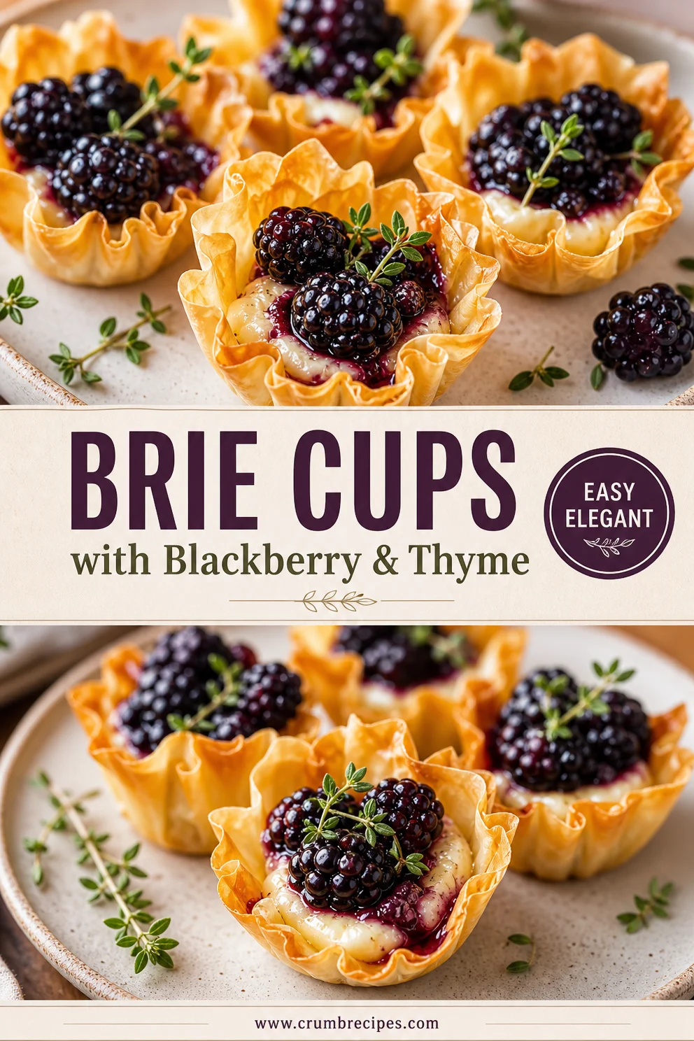 Brie Phyllo Cups: Blackberry & Thyme Appetizers Brie Phyllo Cups Brie Phyllo Cups: Blackberry & Thyme Appetizers