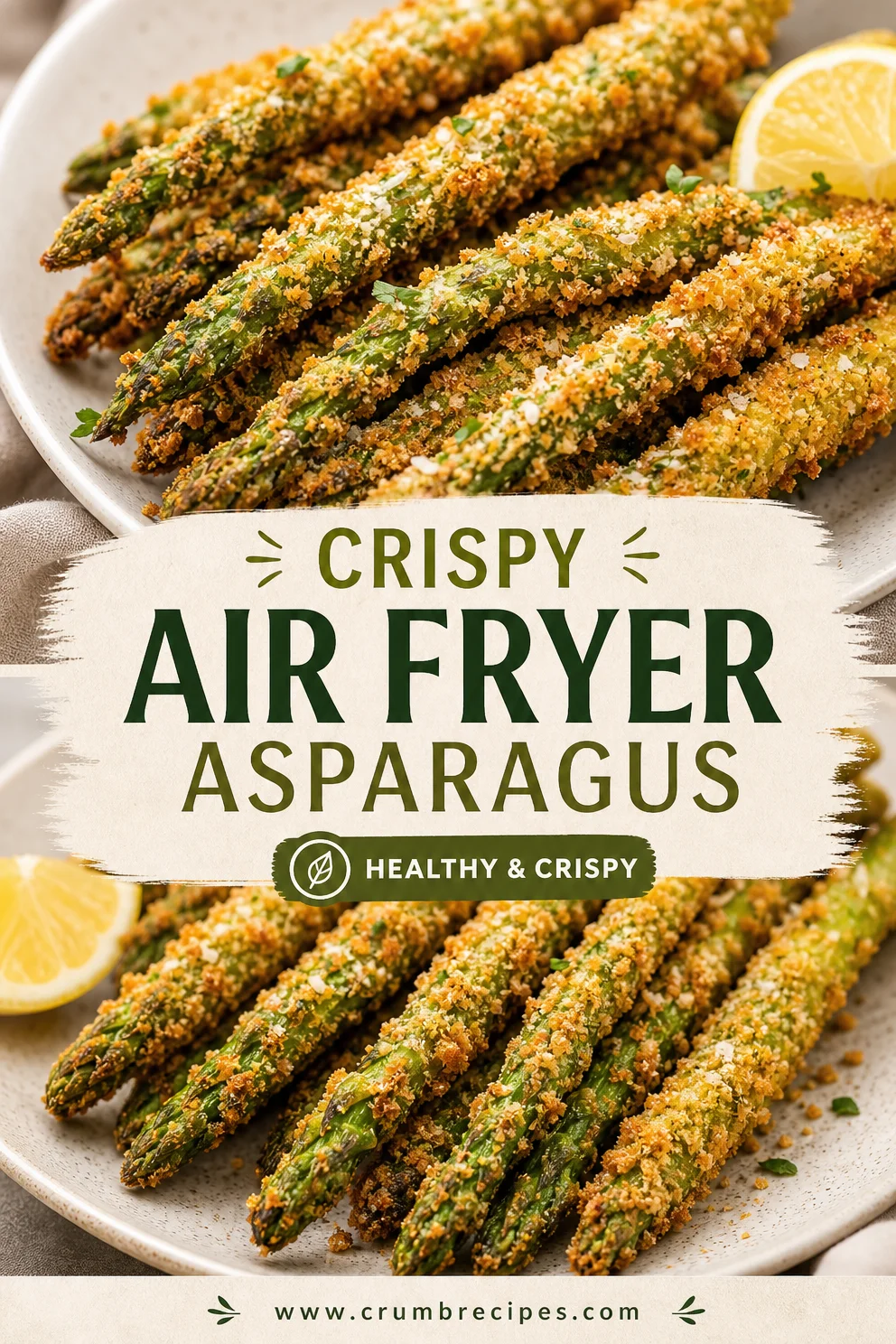 Breaded Air Fryer Asparagus - Crispy Side Dish Air Fryer Asparagus Breaded Air Fryer Asparagus - Crispy Side Dish